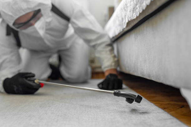 Professional Termite Control technician working in Fairfax, OH
