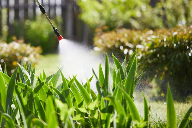 24/7 Emergency Termite Control experts in Fairfax, OH