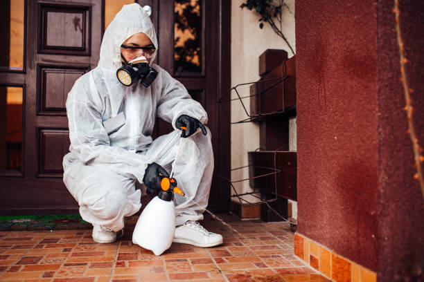Reliable Termite Control contractor in Fairfax, OH by Nex Pest Control